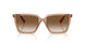 507613 - Brown - Brown Gradient
