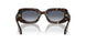 612486 - Tortoise - Light Blue Gradient Grey