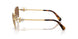 400473 - Gold - Dark Brown