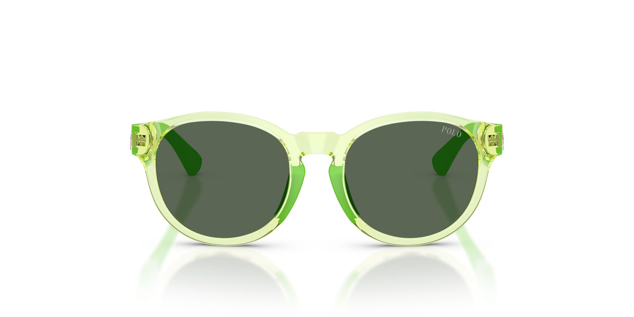 636571 - Green - Dark Green