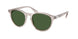 611771 - Brown - Bottle Green