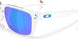 948707 - Transparent - Prizm Sapphire Polarized