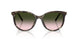 34782C - Green - Light Brown Gradient Green