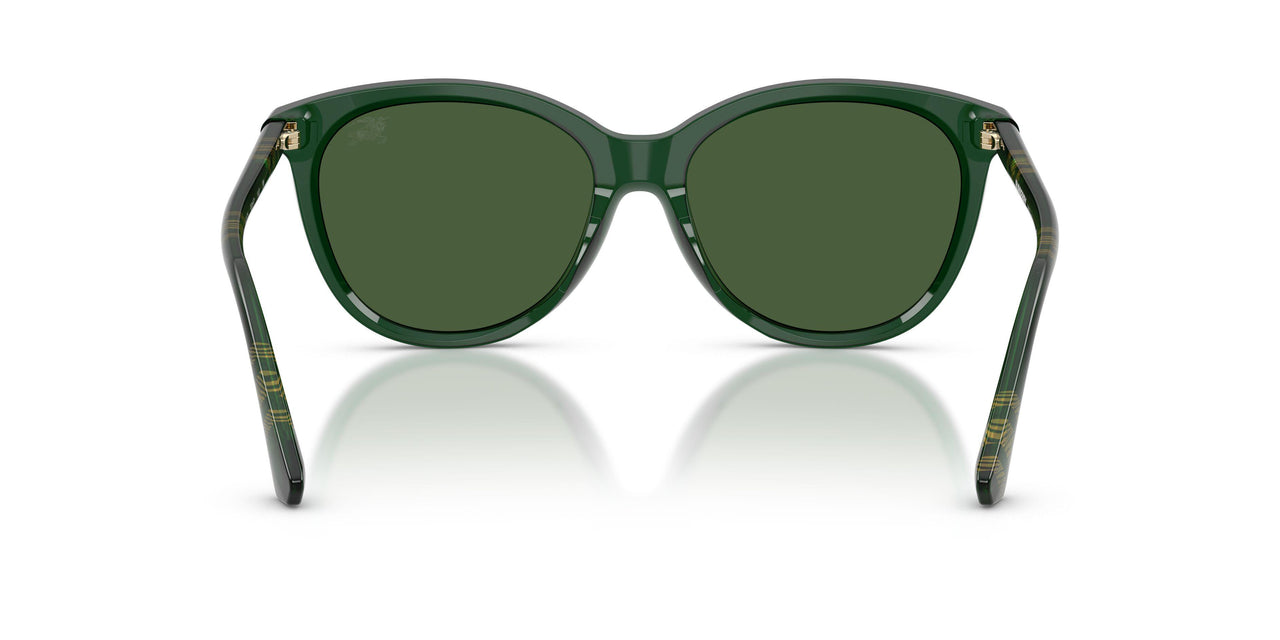 416271 - Green - Dark Green