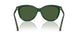 416271 - Green - Dark Green