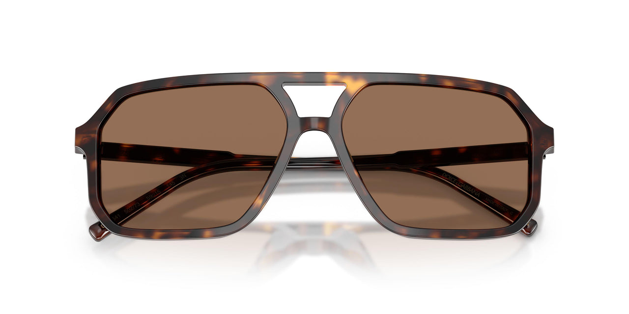 502/73 - Tortoise - Dark Brown