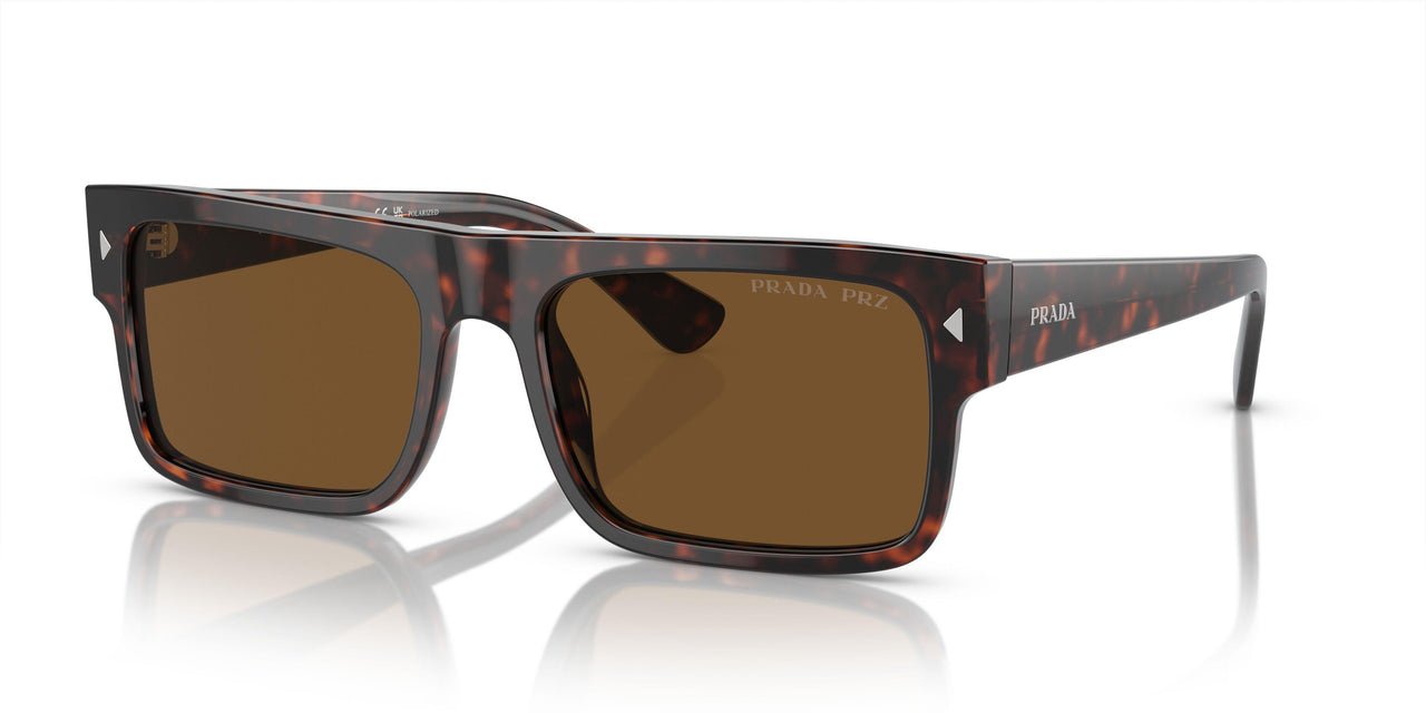 17N01D - Tortoise - Brown Polar