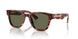 13O03R - Red - Green Polarized