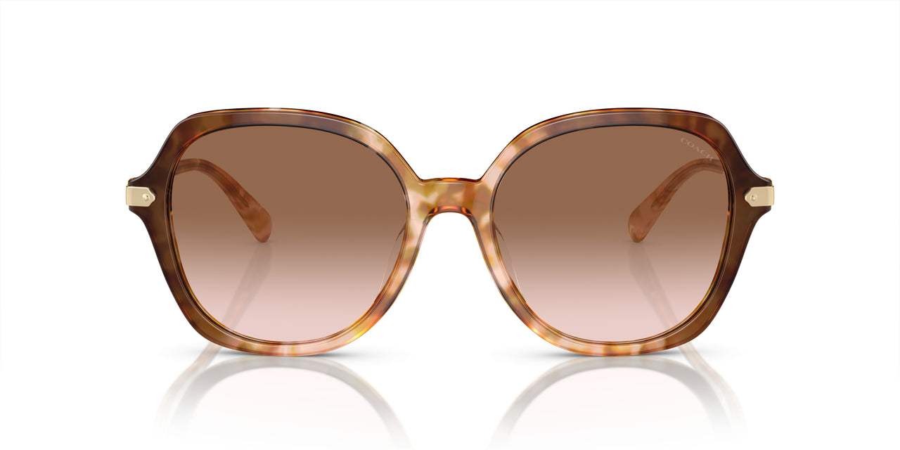 57753C - Brown - Brown Pink Gradient