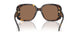 198173 - Tortoise - Brown