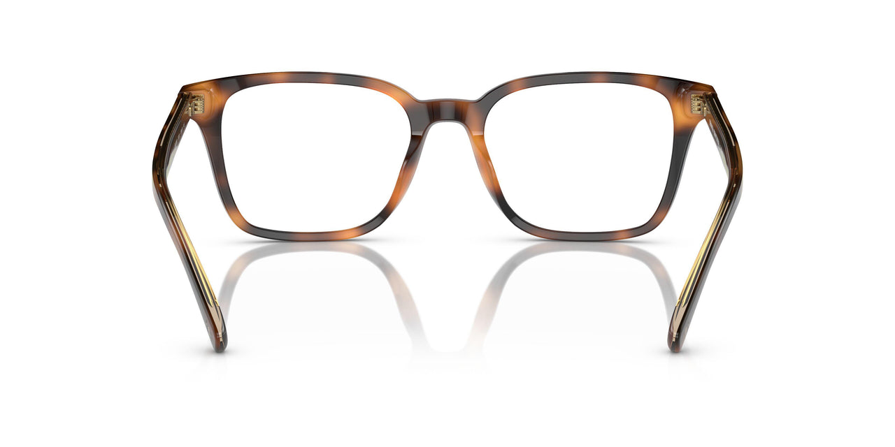 6161 - Tortoise