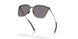 948010 - Green - Prizm Grey Polarized