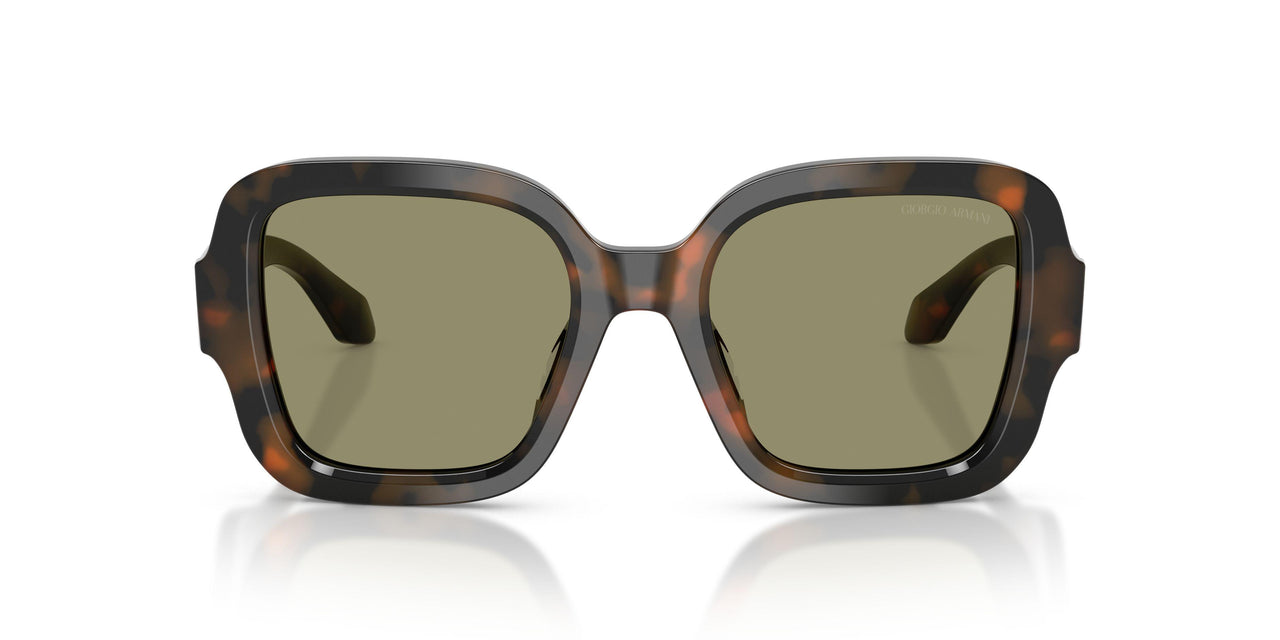 64782A - Tortoise - Green