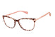 Ted Baker TLW015 Eyeglasses
