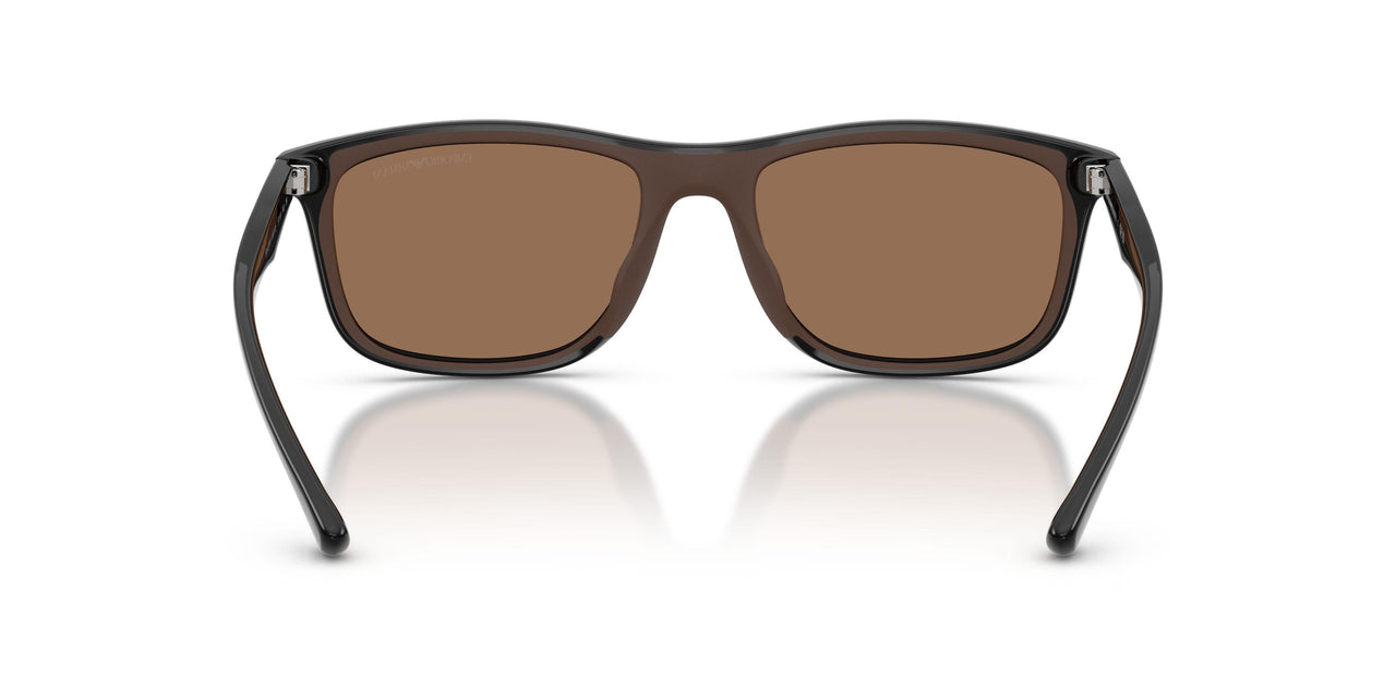 501773 - Black - Dark Brown