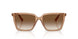 507613 - Brown - Gradient Brown