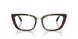 5002 - Tortoise