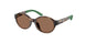 500373 - Tortoise - Dark Brown