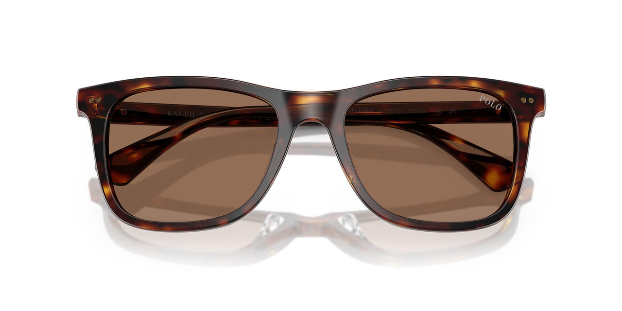 613773 - Tortoise - Dark Brown