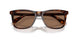 613773 - Tortoise - Dark Brown