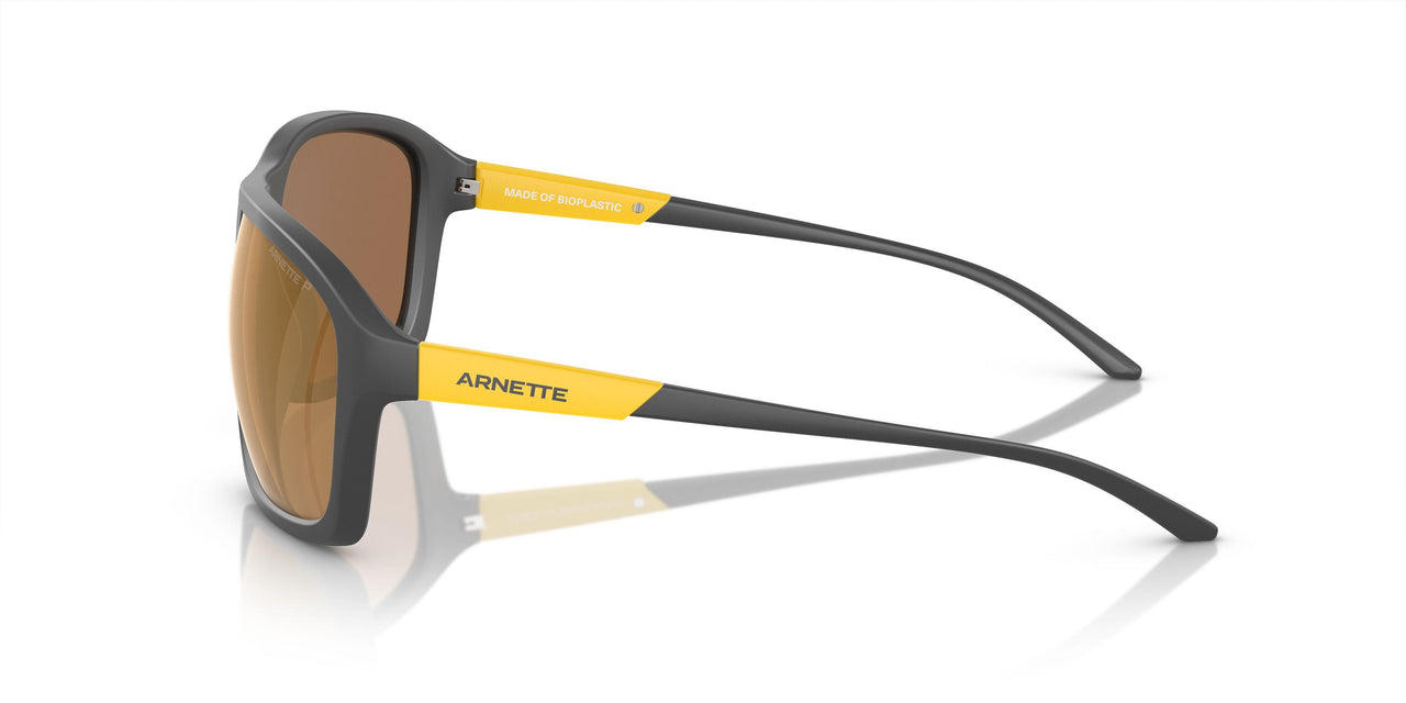 28702T - Grey - Brown Mirror Gold Polarized