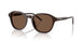 625573 - Brown - Brown