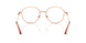 1369 - Pink