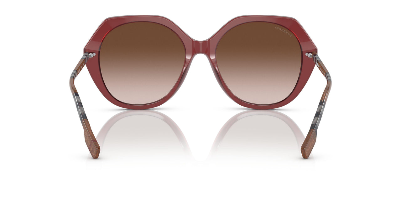 401813 - Bordeaux - Brown Gradient