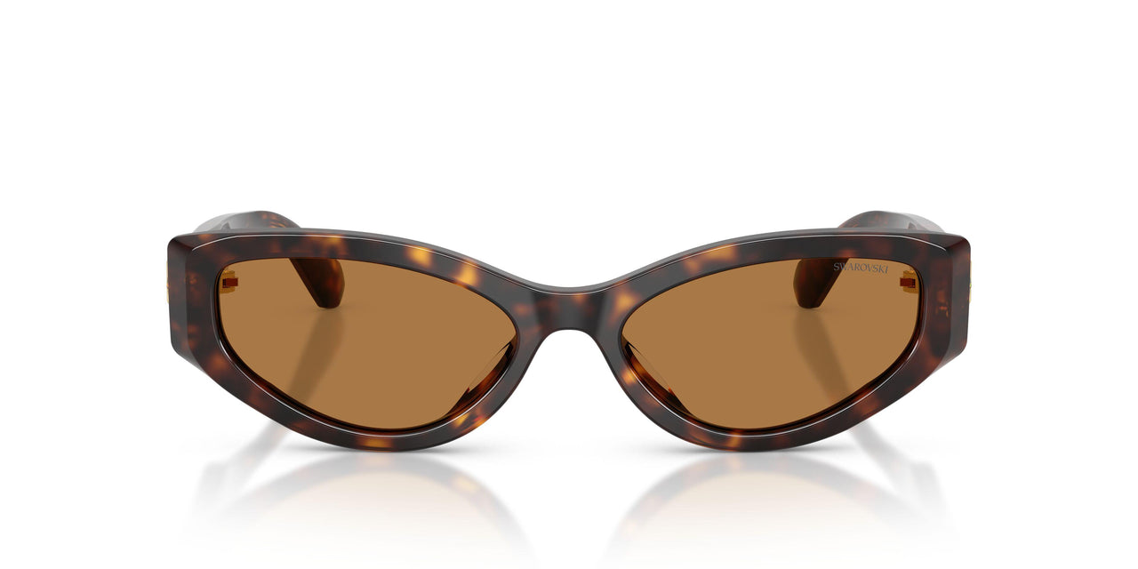 100273 - Tortoise - Bronze