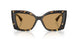 511173 - Havana - Brown