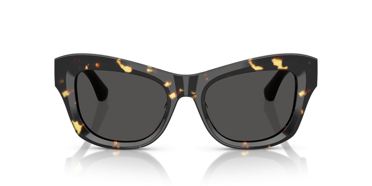 410687 - Tortoise - Dark Grey