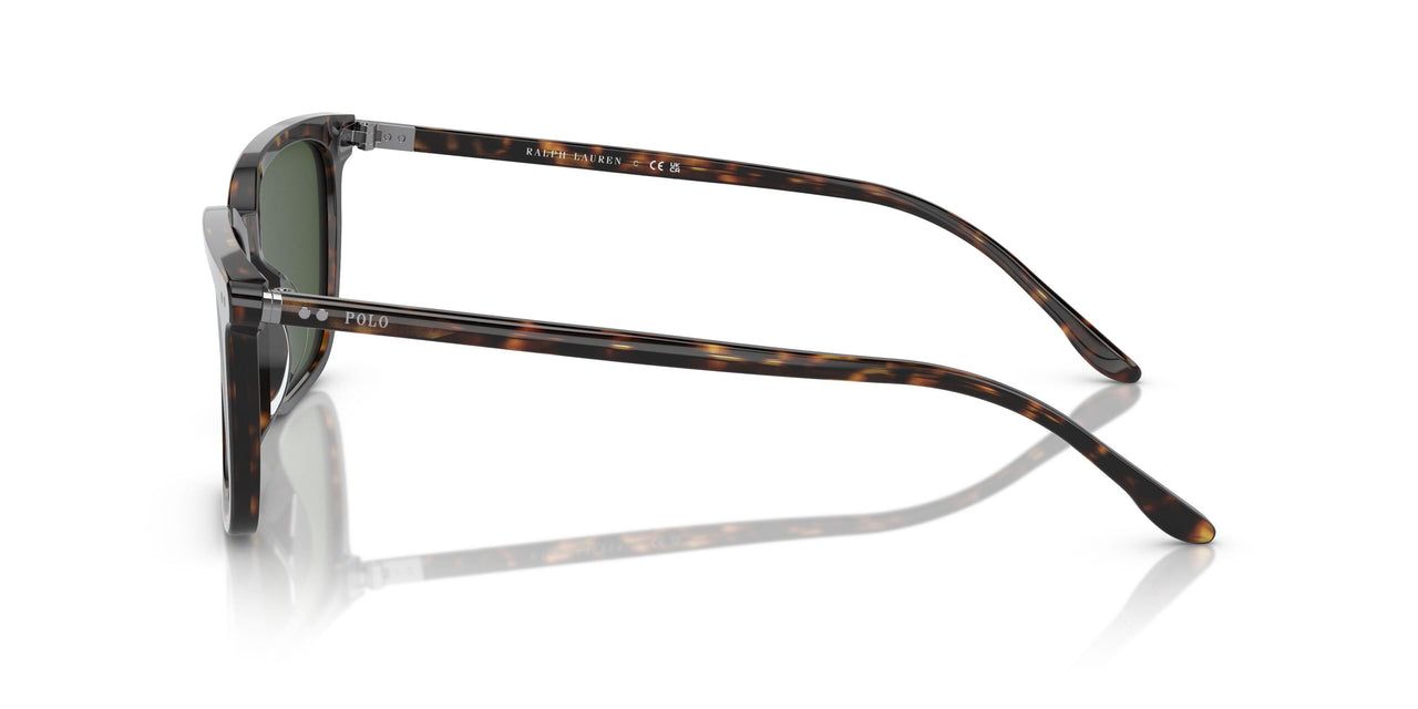 500371 - Brown - Dark Green