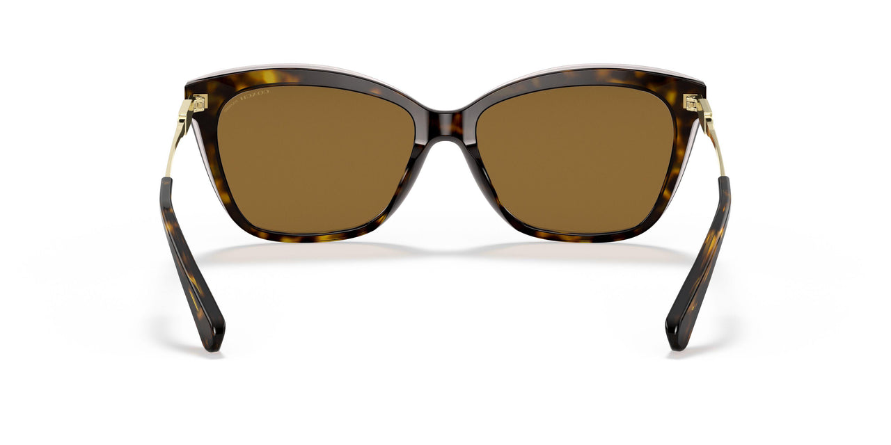 512083 - Havana - Brown Polar
