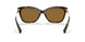 512083 - Havana - Brown Polar