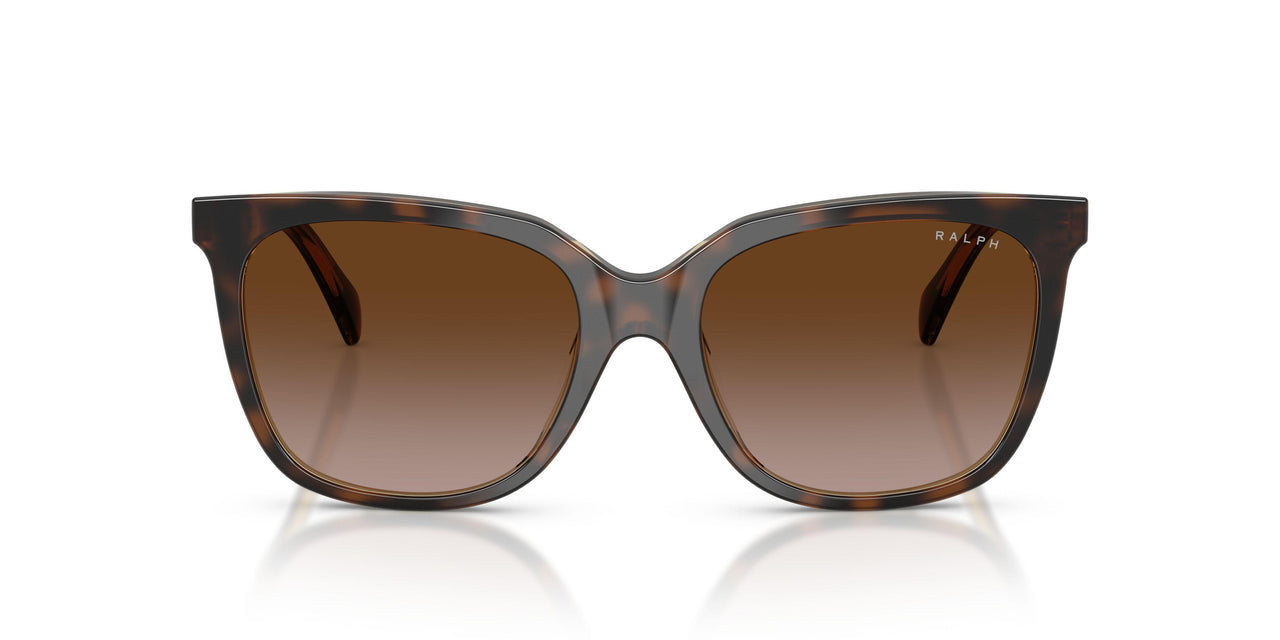 629413 - Brown - Gradient Brown