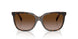 629413 - Brown - Gradient Brown