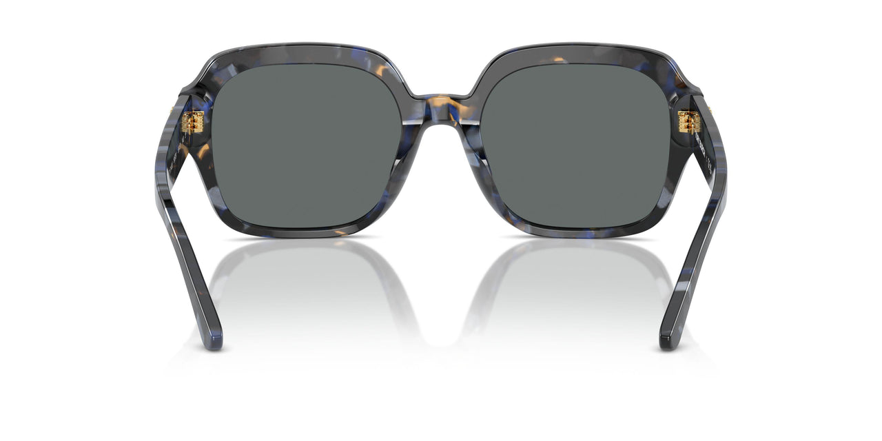 195781 - Blue - Dark Grey Polarized
