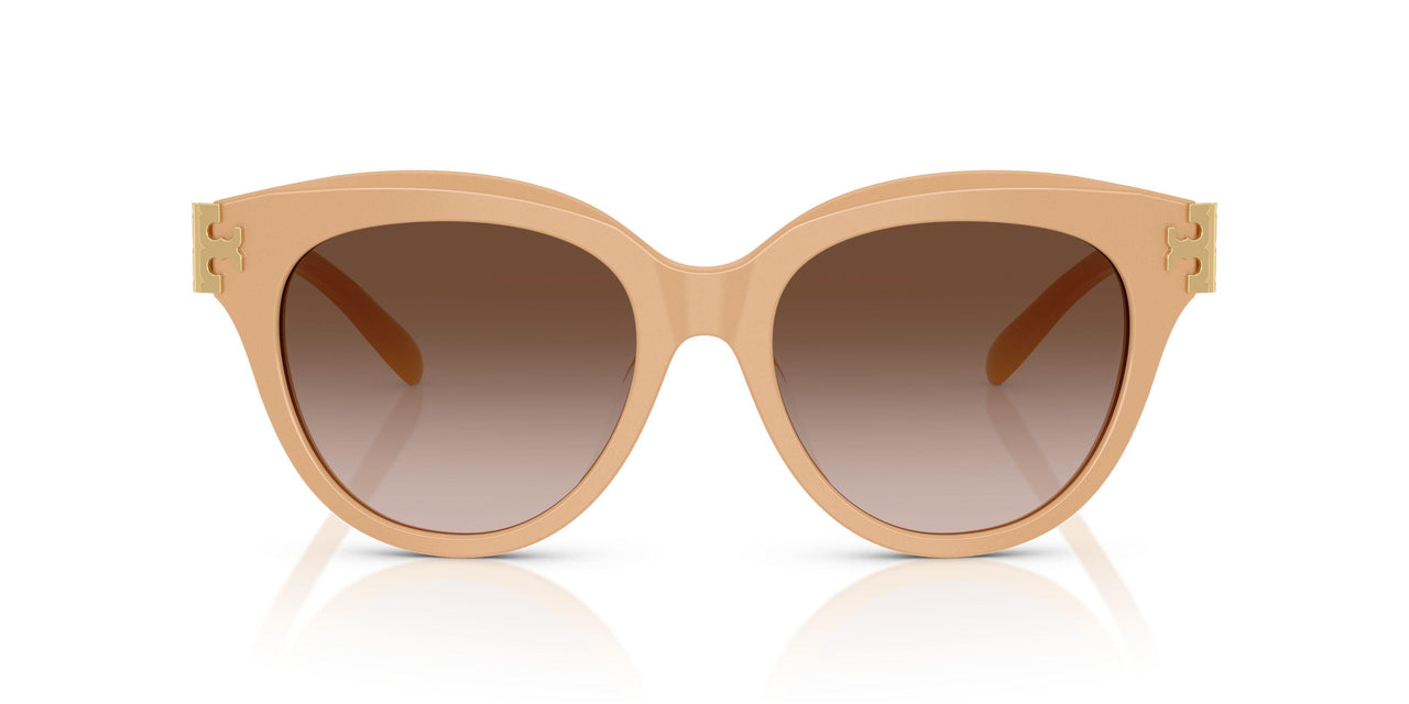 202013 - Pink - Brown Gradient