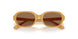 327373 - Blue - Dark Brown