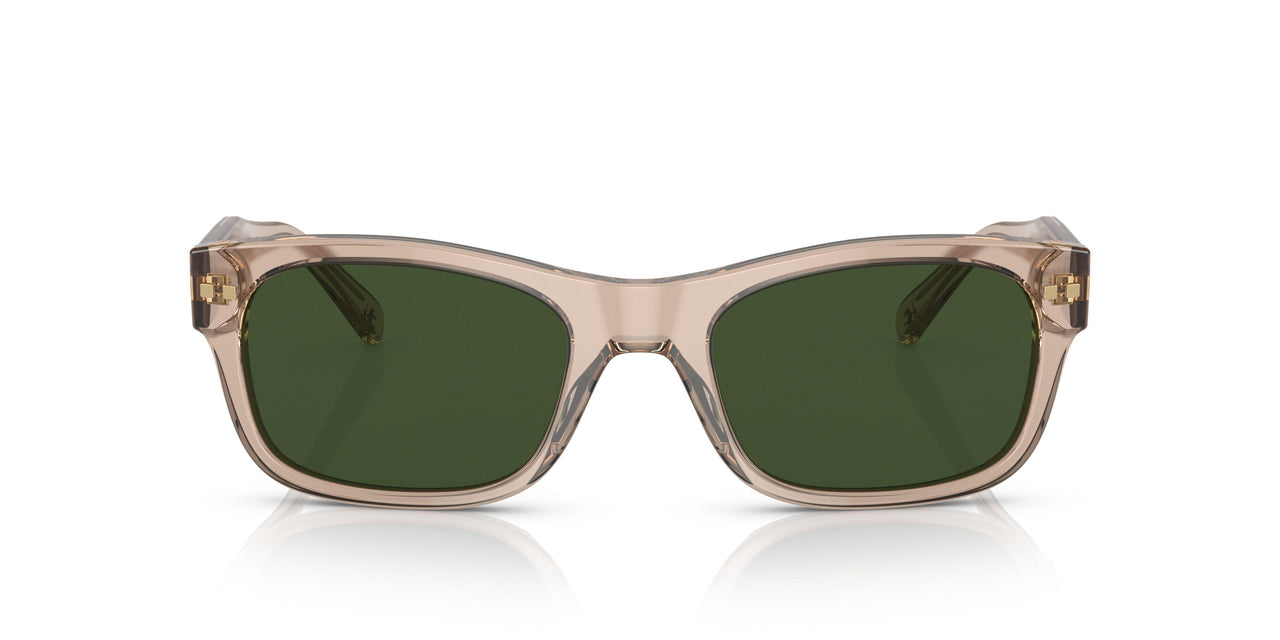 615571 - Brown - Green Solid