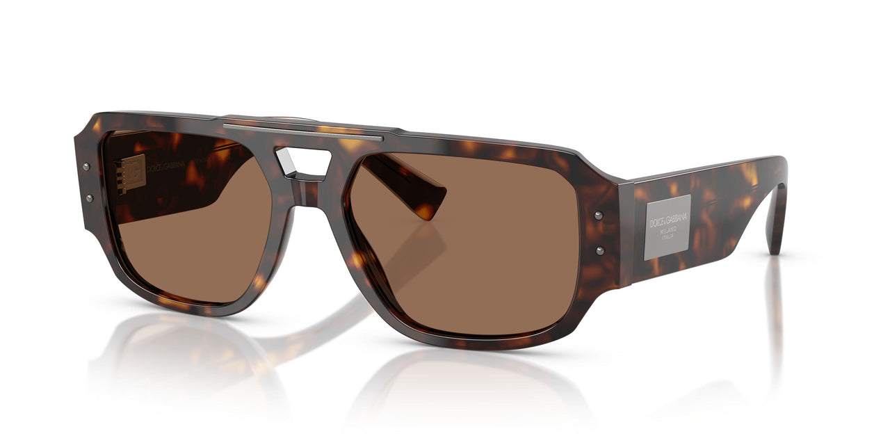 502/73 - Tortoise - Dark Brown