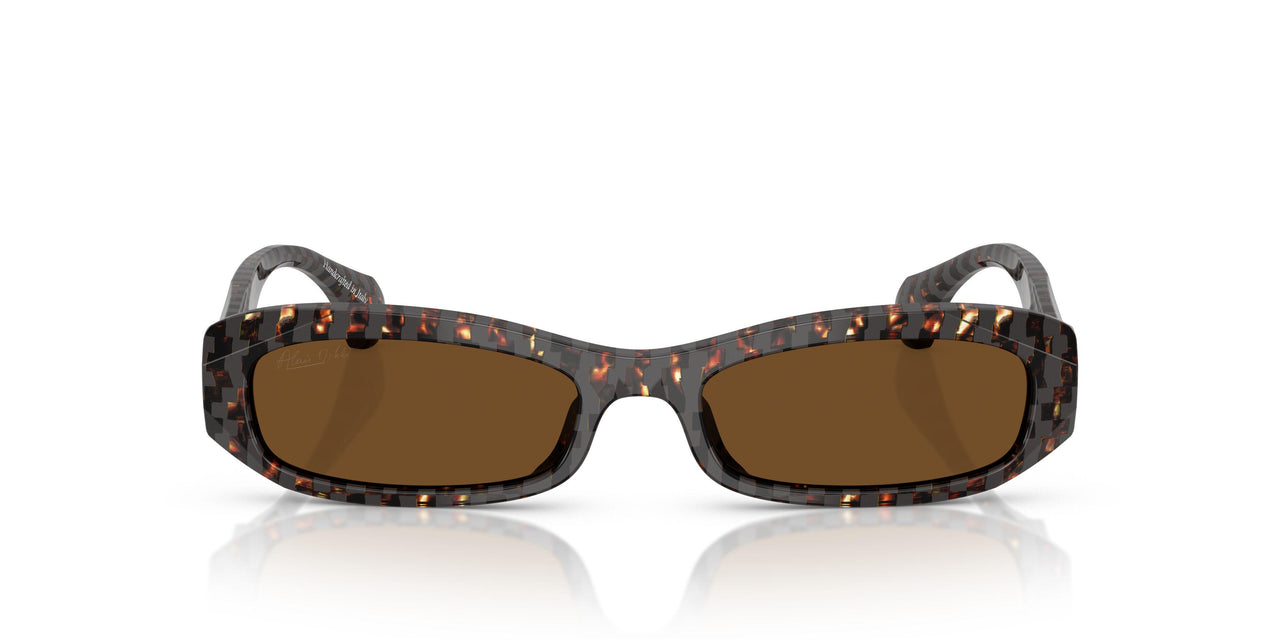 004/57 - Tortoise - Polar Brown
