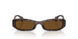004/57 - Tortoise - Polar Brown