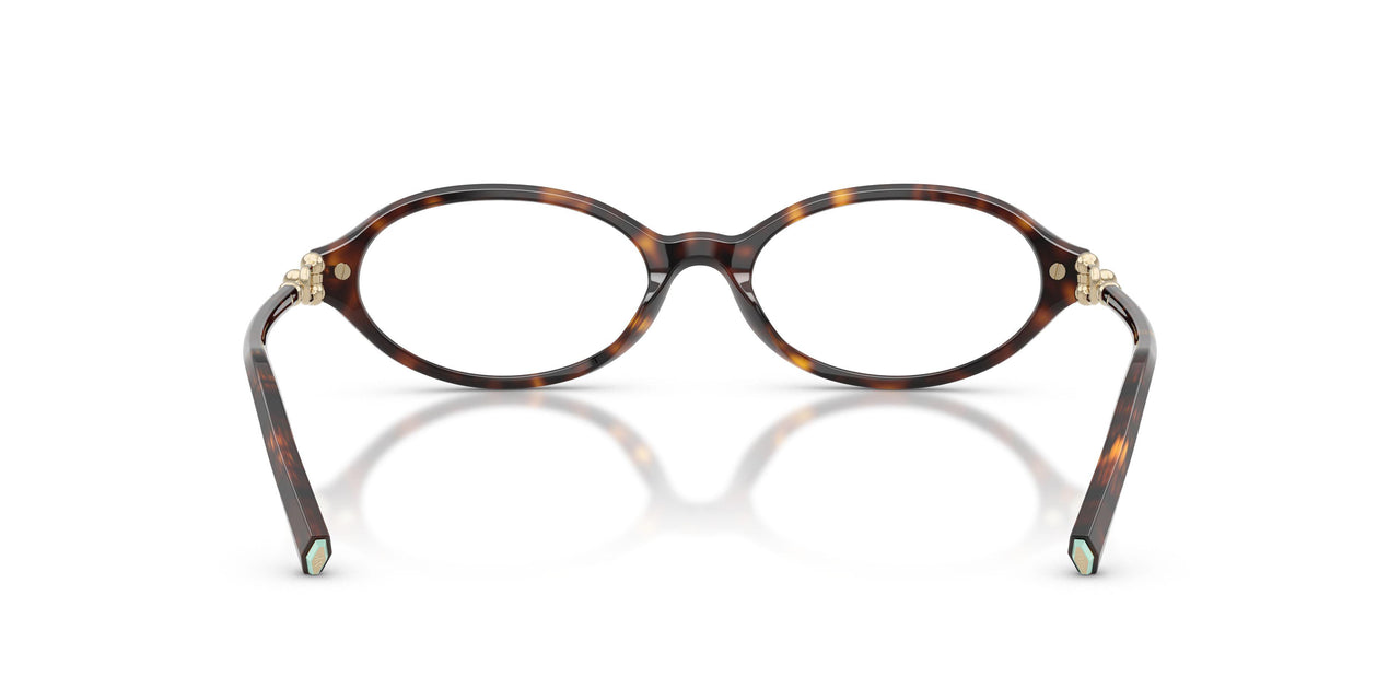 8015 - Tortoise