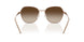 340013 - Brown - Brown Gradient