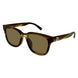 003 - Havana - Brown