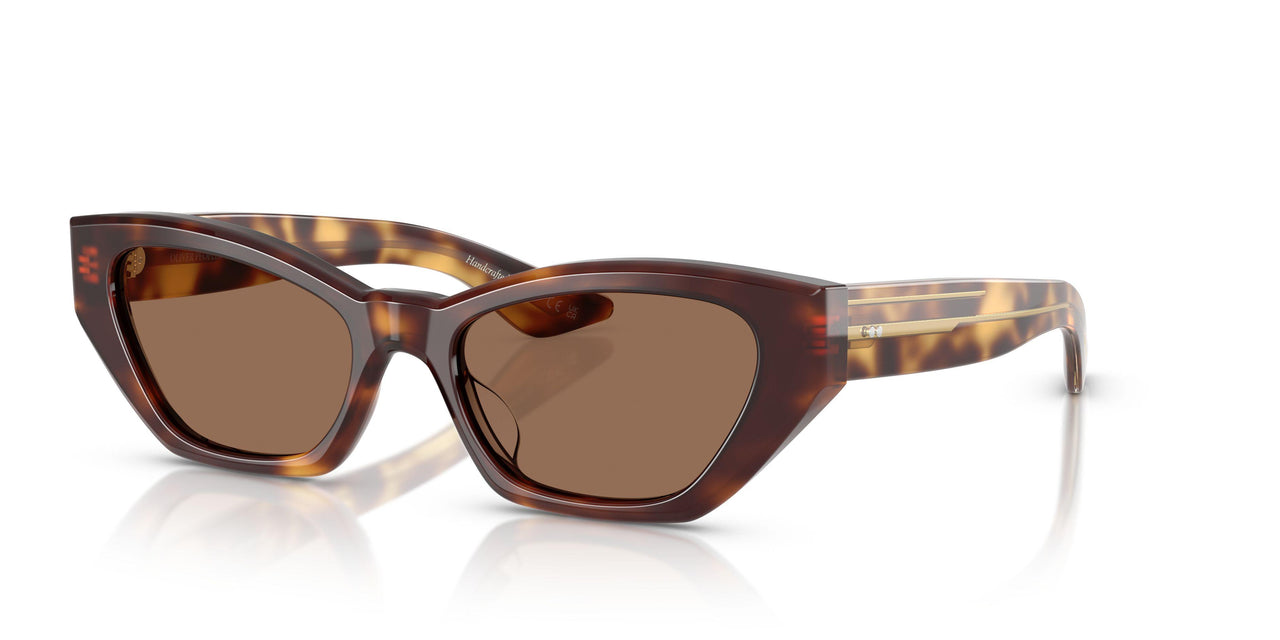 100773 - Tortoise - Brown