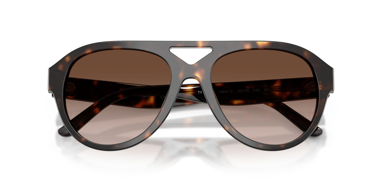 196413 - Tortoise - Brown Gradient