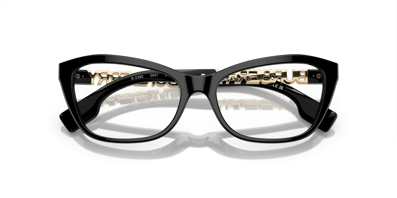 3001 - Black