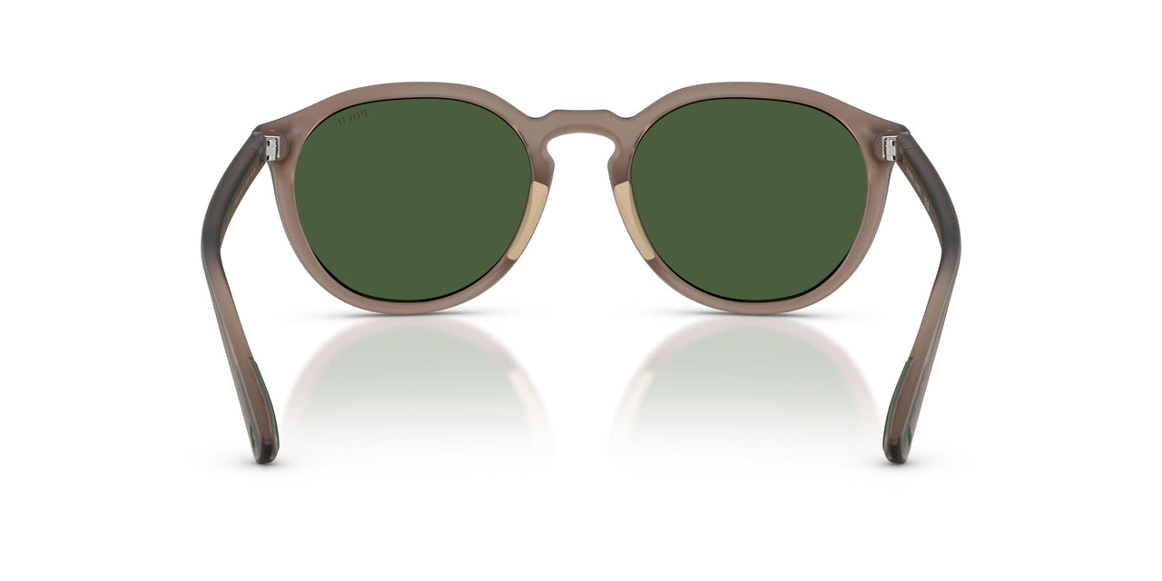 631371 - Brown - Bottle Green